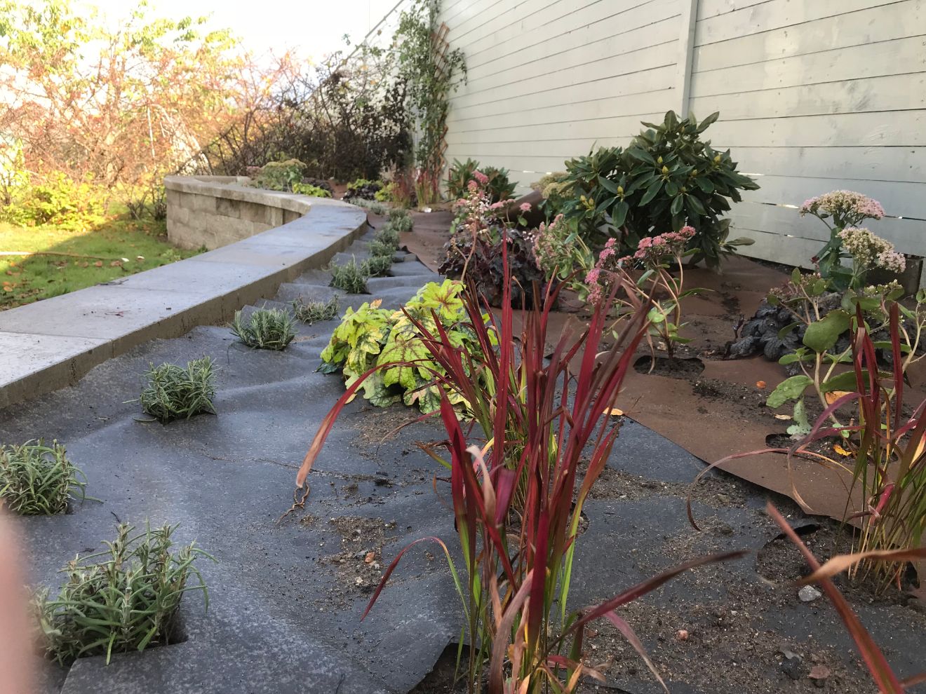 trädgård med stenmur