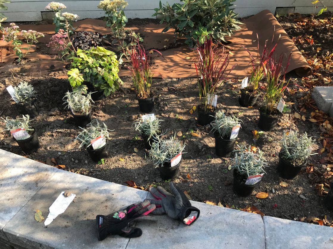 trädgård med stenmur