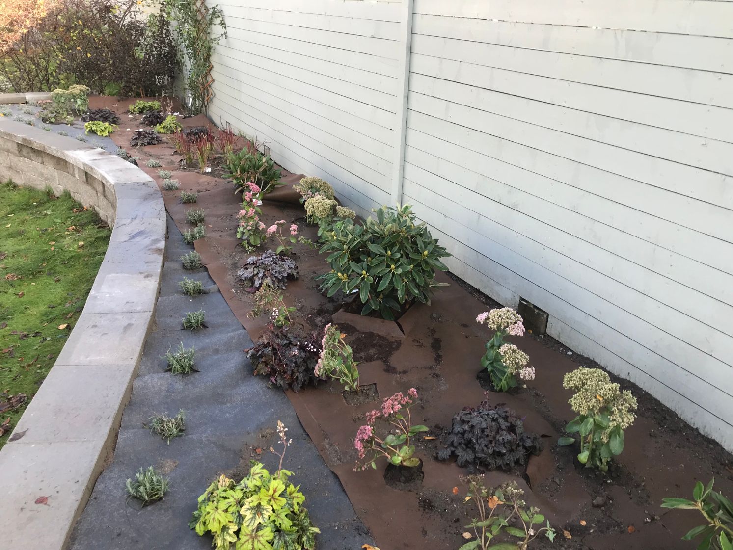 trädgård med stenmur